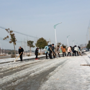 蓝锐党支部开展志愿者义务除雪活动